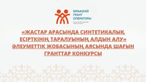 «Жастар арасында синтетикалық есірткінің таралуының алдын алу» әлеуметтік жобасының аясында шағын гранттар конкурсы