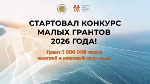 В 2026 году на поддержку гражданских инициатив выделят 96 малых грантов: начинается прием заявок
